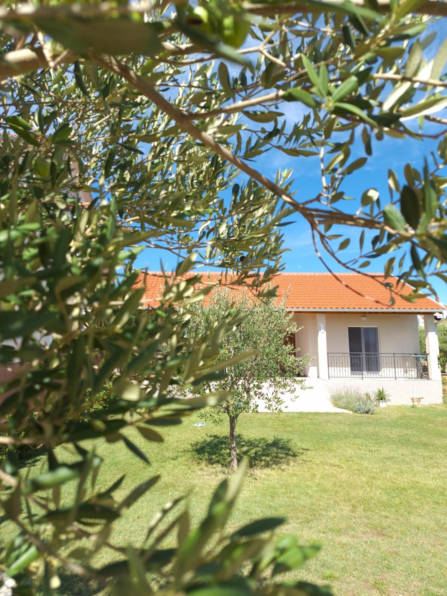Cvita & Gabi - Kuca Za Odmor Privlaka  Exterior photo